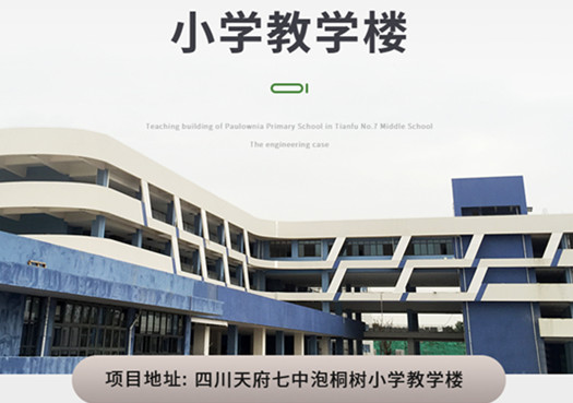 泡桐树小学教学楼